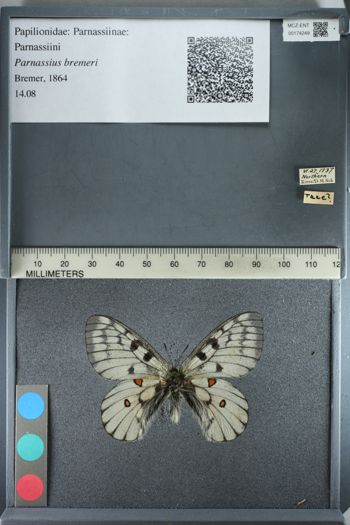 Media type: image;   Entomology 174249
